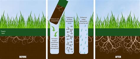 Aeration Soil Treatment Payson Lawn Care