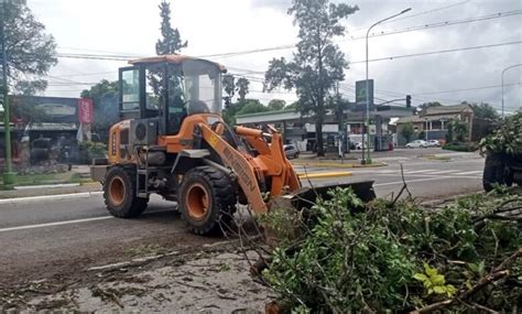 Cayeron Rboles Y Postes En La Capital Tucumana