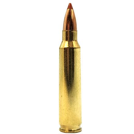 22 250 Remington 50 Grain V Max Superformance Varmint 20 Rounds By Hornady