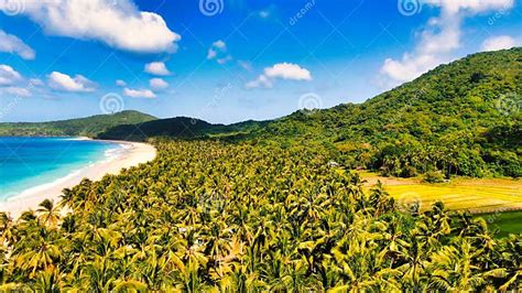 Nacpan Beach Palawan Philippines Drone Shot with Tropical Beach, Waves and Lots of Palm Trees ...