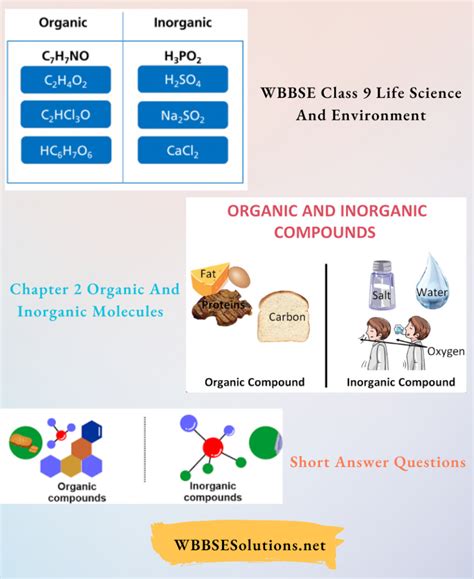 Wbbse Class Life Science And Environment Chapter Organic And