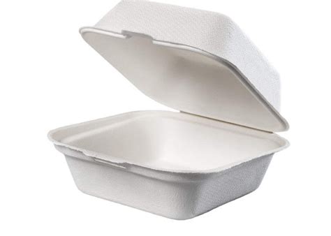 Bagasse Clamshell 20g Biodegradable To Go Food Containers