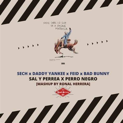 Stream [FREE] SECH x FEID x BAD BUNNY - SAL Y PERREA x PERRO NEGRO ...