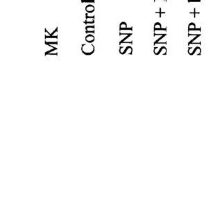 NO Donors SNP And SIN 1 Induced Hippocampal Neuronal Apoptosis A