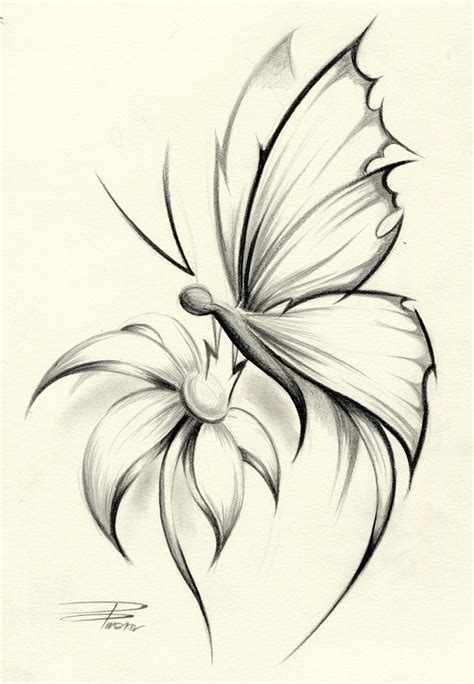 Butterfly On Rose Drawing at GetDrawings | Free download