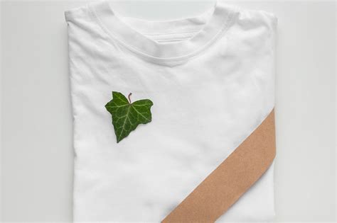 Ecological T Shirt Packaging Mockup Afbeelding Door Goldtreeartdesigns · Creative Fabrica