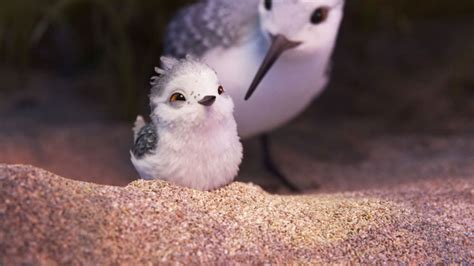 Pixar Short Piper Will Chirp Into Theaters Ahead Of Finding Dory On