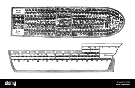 30+ Diagram Of Slave Ship - LeonardLeen