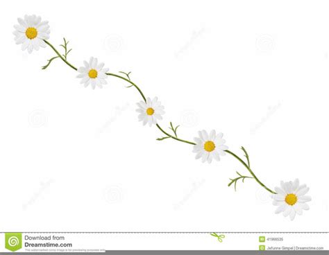 clipart daisy border 10 free Cliparts | Download images on Clipground 2024