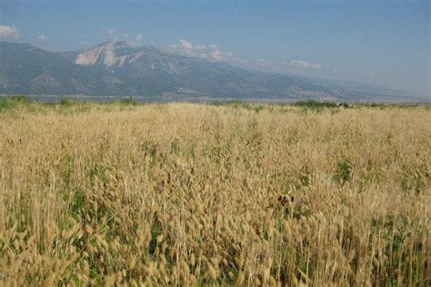 Washoe Lake State Park is one of the very best things to do in Tahoe