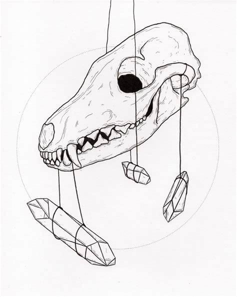 Fox Skull Drawing