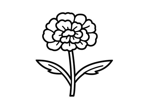 Marigold Drawing To Color, Easy For Children - Coloring Page