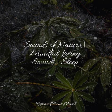 Sounds Of Nature Mindful Living Sounds Sleep Album By The White