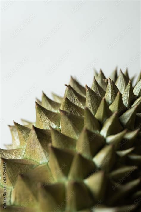 Closeup Spike Of Durian The King Of Tropical Fruits Thorn Textures