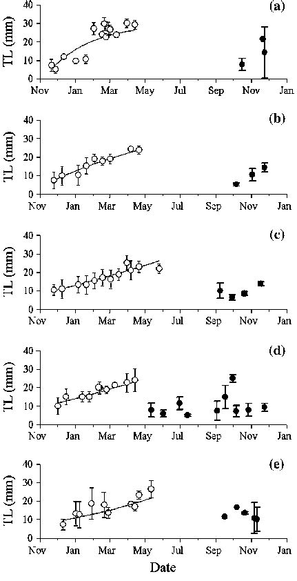 Variation Of Mean Total Length Tl In Mm ±sd For The First White Download Scientific