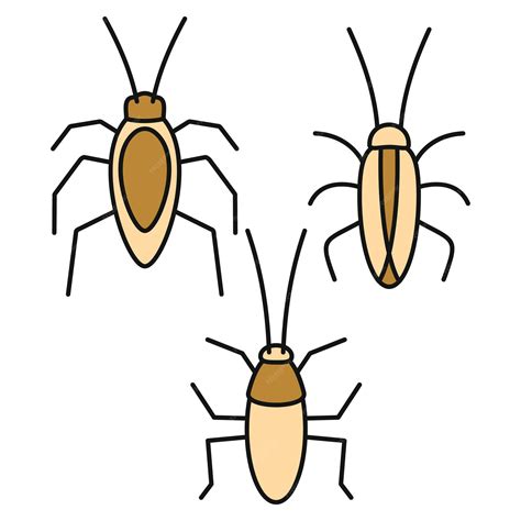 Premium Vector | Cockroach bug icons set outline set of cockroach bug