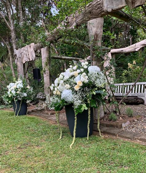 wale lotus flower bomb lyrics 1