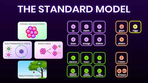 All Fundamental Forces And Particles Explained Simply Elementary