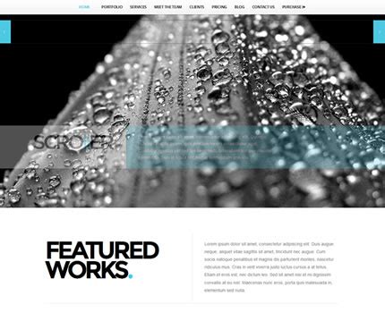 Parallax Scrolling Website Templates Entheosweb