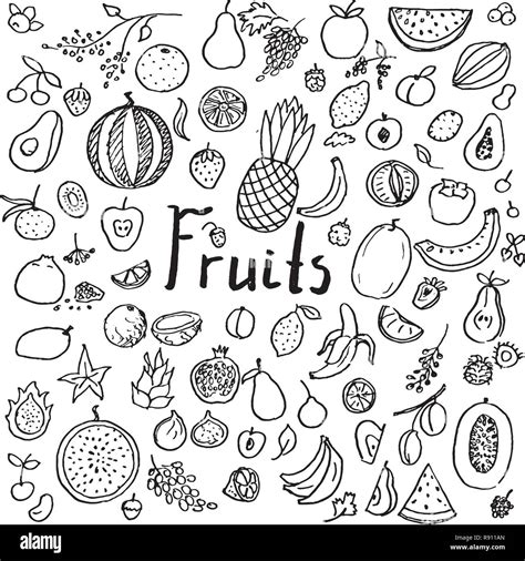 Set Of Hand Drawn Doodle Fruits Stock Vector Image Art Alamy