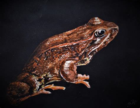 Amphibian Painting By Bradley Page Fine Art America