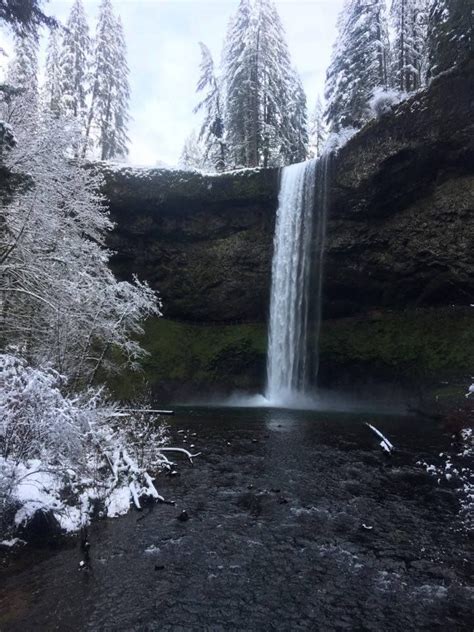 Winter at Silver Falls State Park