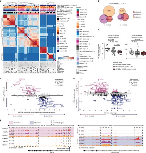 Hpv Clade Specific Histone Mark Landscapes A Cluster Of Clusters