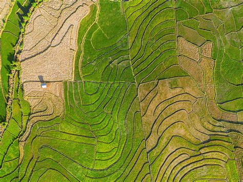 Drone view of terraced rice fields in Vietnam. 36456670 Stock Photo at ...