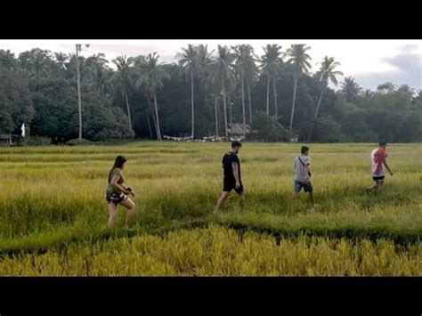 Nakakatuwang Pagmasdan Ang Ganda Ng Palayan Habang Papunta Sa Handaan