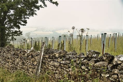 Les Terres Agricoles Paysage Mur Photo Gratuite Sur Pixabay Pixabay