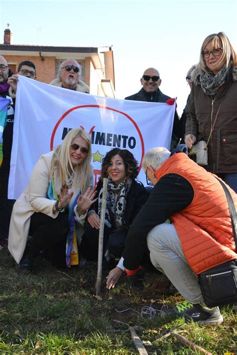 Il Movimento 5 Stelle Pianta 80 Alberi Per Il Futuro In Tutto Il