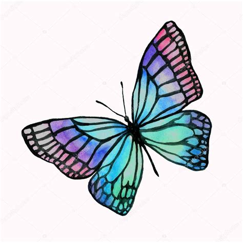 Dibujo De Mariposa Mariposa Dibujo Color Imagen Png Imagen