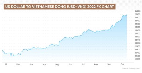 USD/VND Forecast | Will USD/VND Go Up or Down?