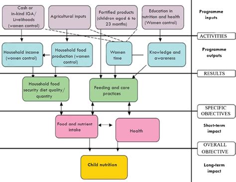 Pathways Through Which The Intervention Is Expected To Affect