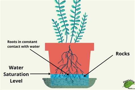 Using Rocks At The Bottom Of Plant Pots Drainage Explained