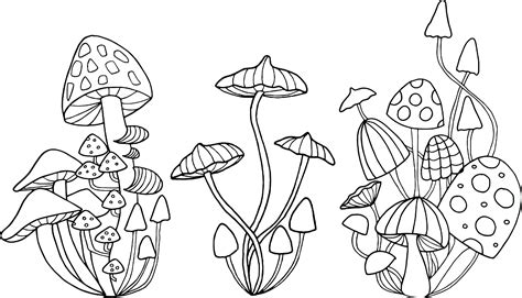 drawing mushrooms easy