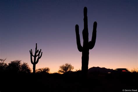 Arizona Desert at Sunset | Dennis Flood Photography