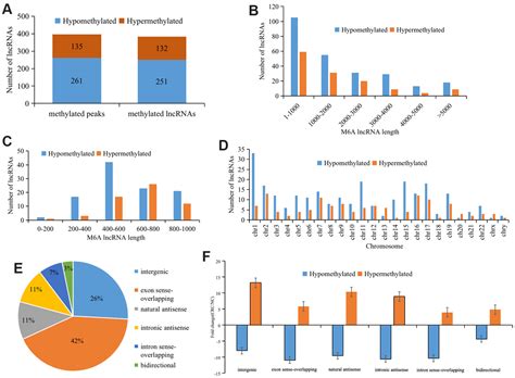 Comprehensive Analysis Of Lncrnas N6 Methyladenosine Modification In