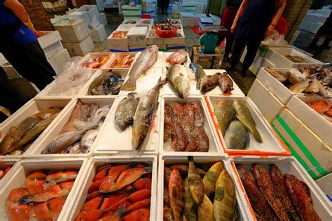 Kanzaiding Fish Market A Mid Night Market In Keelung Stock Image