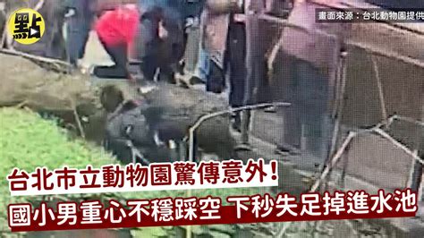 【每日必看】國小男童掉進動物園水池 滑手機踩空影片曝光 Ctinews Youtube