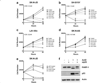 Effect Of Actinomycin D On Cell Viability A D Cell Lines Were Treated