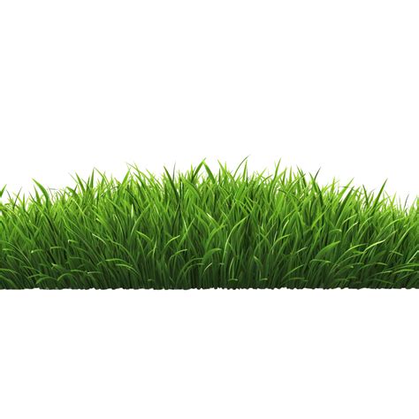 Ai Generated Green Grass Field Clip Art 40218682 Png