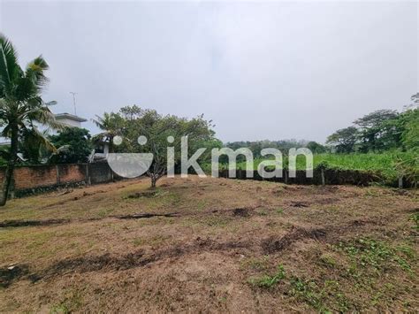 Paddy Field Facing Land In Thalawathugoda Ikman