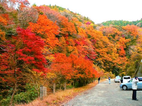 東京から車で70分！ 紅葉の名所「養老渓谷」で過ごす、秋満喫1泊2日プラン【千葉県観光】｜るるぶandmore