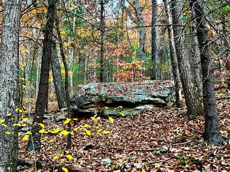 Dragons Tooth Trail In Virginia Stock Image Image Of Branch Forest