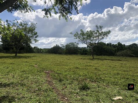 Se Vende Finca De Tareas En El De Yamasa En Yamasa Tu