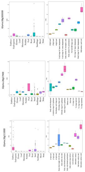 Cells Free Full Text Pinpointing Genomic Regions And Candidate