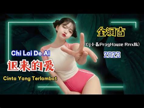 金润吉 迟来的爱 Dj小嘉 ProgHouse Rmx 2023 Chi Lai De AiCinta Yang Terlambat