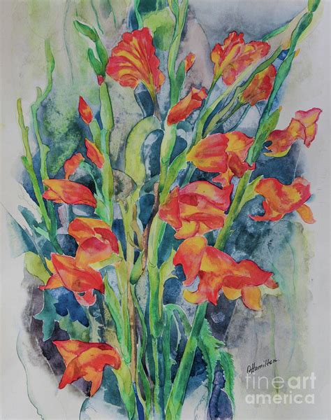 Gladiolus Flowers Watercolor Painting By Olga Hamilton Pixels