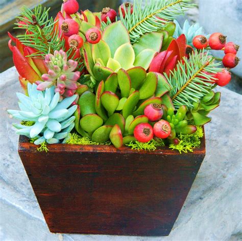 Holiday Table Succulent Centerpiece Long Handcrafted Wood Box Holiday